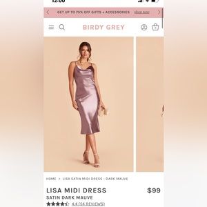 Birdy Grey Dark Mauve Midi satin dress